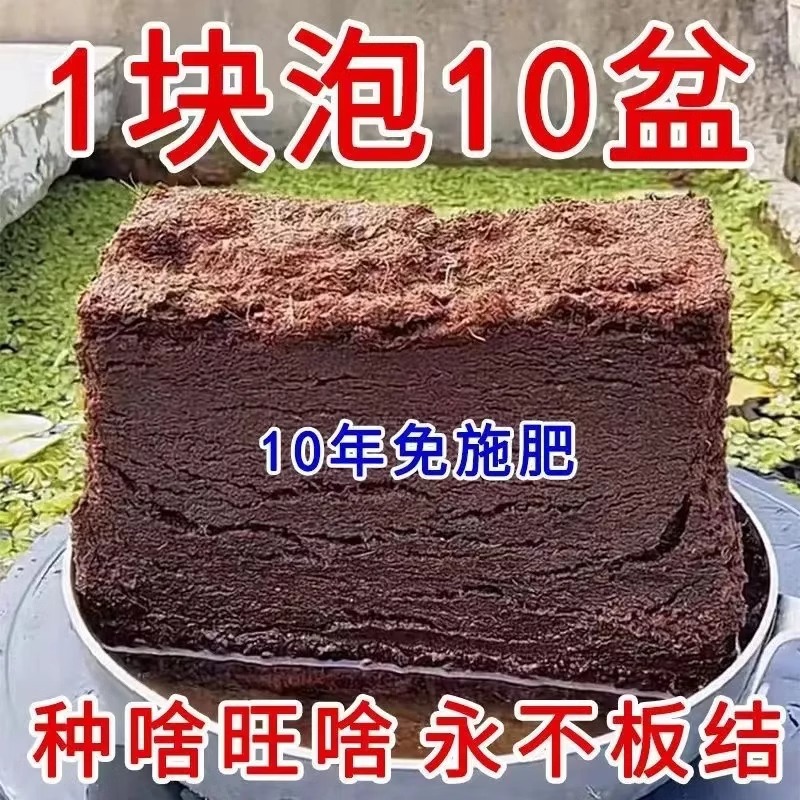 大块椰砖营养土养花通用型脱盐椰糠椰土壤种菜粗椰壳乌龟冬眠种植