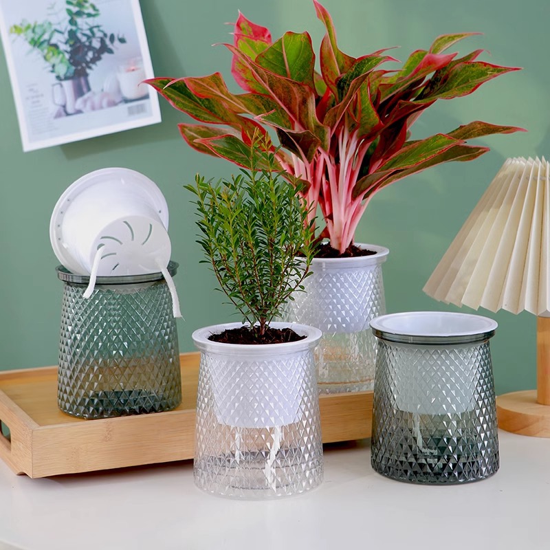 北欧塑料水培透明盆懒人自动吸水早安盆绿萝北欧简约吊兰绿植花盆